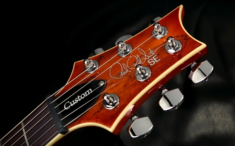 PRS SE Custom 24 Spalted Maple