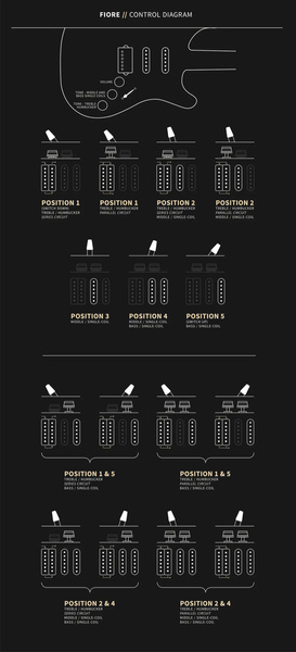 PRS Fiore Black Iris - gitara elektryczna USA