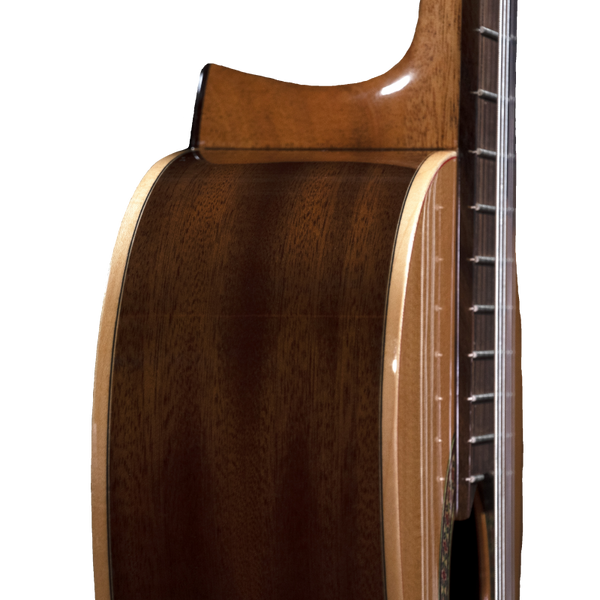 Prodipe Guitars Recital 200 4/4 - gitara klasyczna 