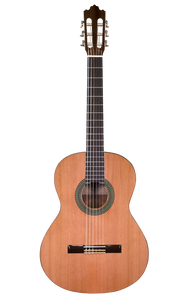 Prodipe Guitars Recital 300 4/4 - gitara klasyczna 