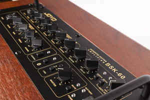 Joyo BSK-60 - combo akustyczne 60W