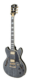 D'Angelico Excel Mini DC Black Dog - gitara elektryczna