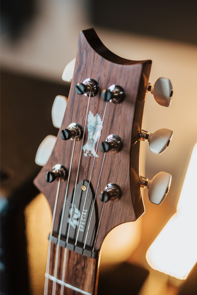 PRS 40th Anniversary Special Semi-Hollow Yellow Tiger - gitara elektryczna USA