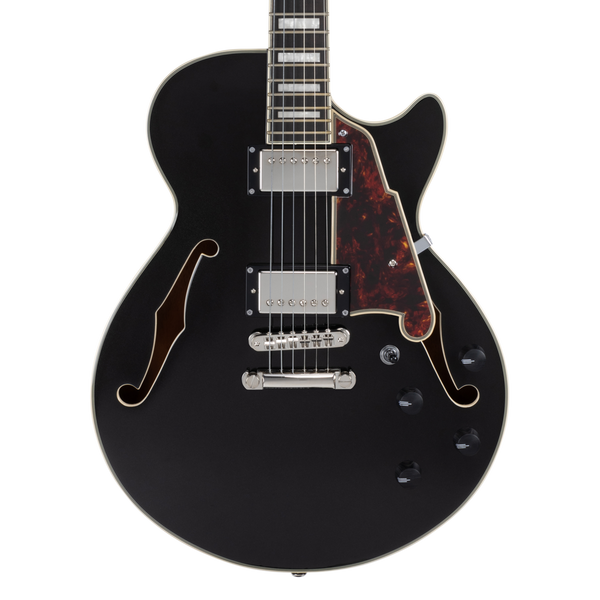 D'Angelico Premier SS Black Flake - gitara elektryczna