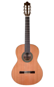 Prodipe Guitars Recital 300 4/4 - gitara klasyczna 