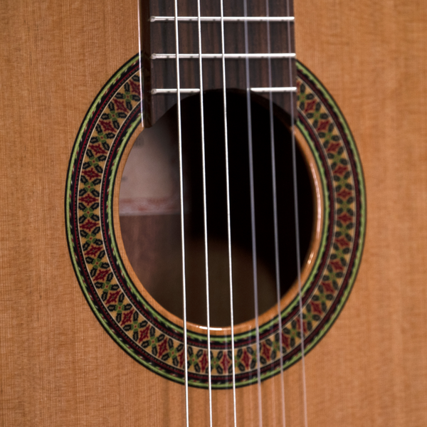 Prodipe Guitars Recital 200 4/4 - gitara klasyczna 