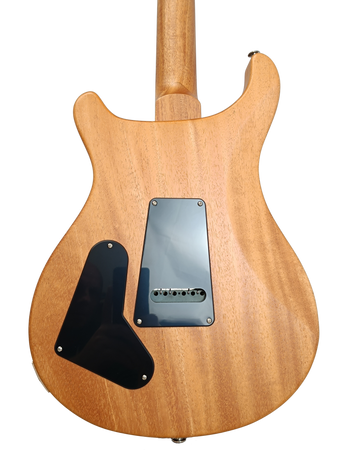 PRS S2 Special Semi-Hollow Reclaimed Limited Edition - gitara elektryczna USA - wersja 2