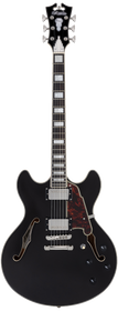 D'angelico Premier DC Black Flake - gitara elektryczna