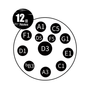 TUGA 12 Note 432Hz D-moll Silver - Handpan