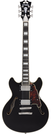 D'Angelico Premier Mini DC Black Flake - gitara elektryczna