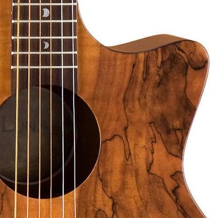 Luna Gypsy Exotic Spalt - gitara akustyczna