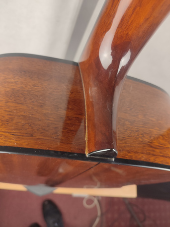 Samick D-1 N - gitara akustyczna - Powystawowa