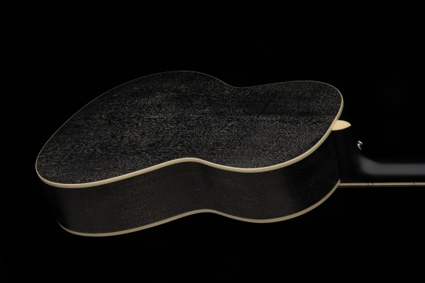 PRS SE Angelus P20E Doghair - gitara elektro-akustyczna