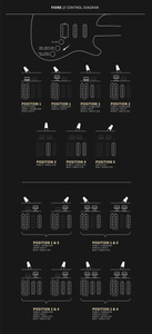 PRS Fiore Black Iris - gitara elektryczna USA