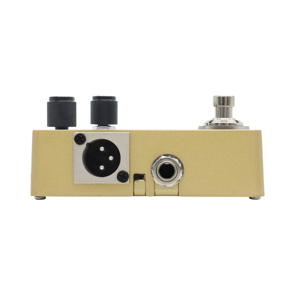 Hotone Omni AC - efekt gitarowy