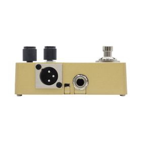 Hotone Omni AC - efekt gitarowy