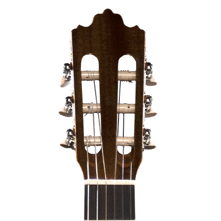 Prodipe Guitars Recital 300 4/4 - gitara klasyczna 