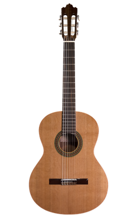 Prodipe Guitars Recital 200 4/4 - gitara klasyczna 
