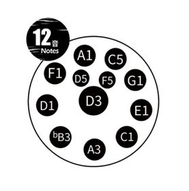 TUGA 12 Note 432Hz D-moll Silver - Handpan