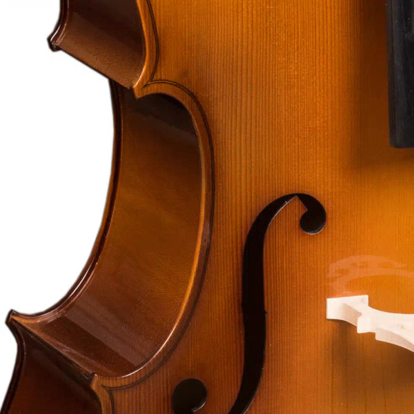 Hora C100 - wiolonczela 3/4