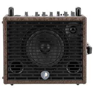 Prodipe Traveler 6 - combo akustyczne 120W