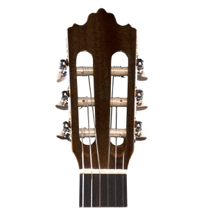 Prodipe Guitars Recital 300 4/4 - gitara klasyczna 