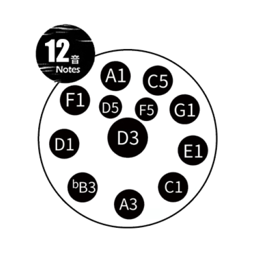 TUGA 12 Note 432Hz D-moll Silver - Handpan