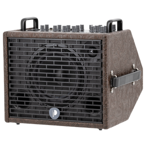 Prodipe Traveler 6 - combo akustyczne 120W