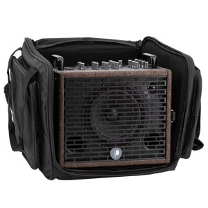Prodipe Traveler 6 - combo akustyczne 120W