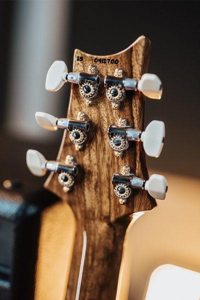 PRS 40th Anniversary Special Semi-Hollow Yellow Tiger - gitara elektryczna USA