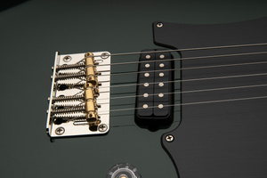 PRS Myles Kennedy Hunters Green - gitara elektryczna USA