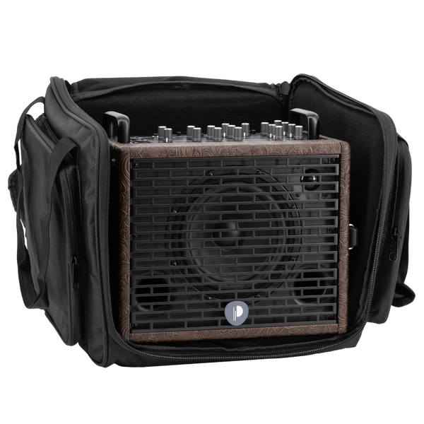 Prodipe Traveler 6 - combo akustyczne 120W
