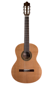 Prodipe Guitars Recital 200 4/4 - gitara klasyczna 