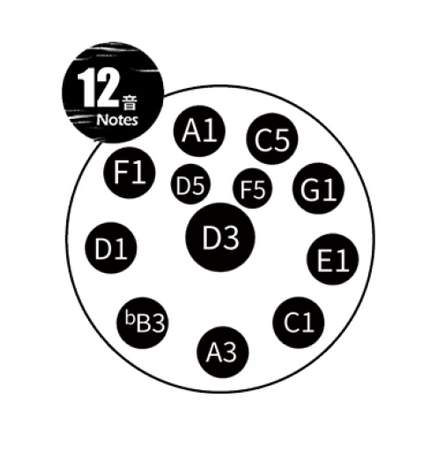 TUGA 12 Note 432Hz D-moll Silver - Handpan